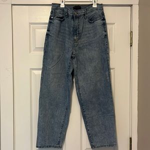 Banana Republic Curvy Straight Jean